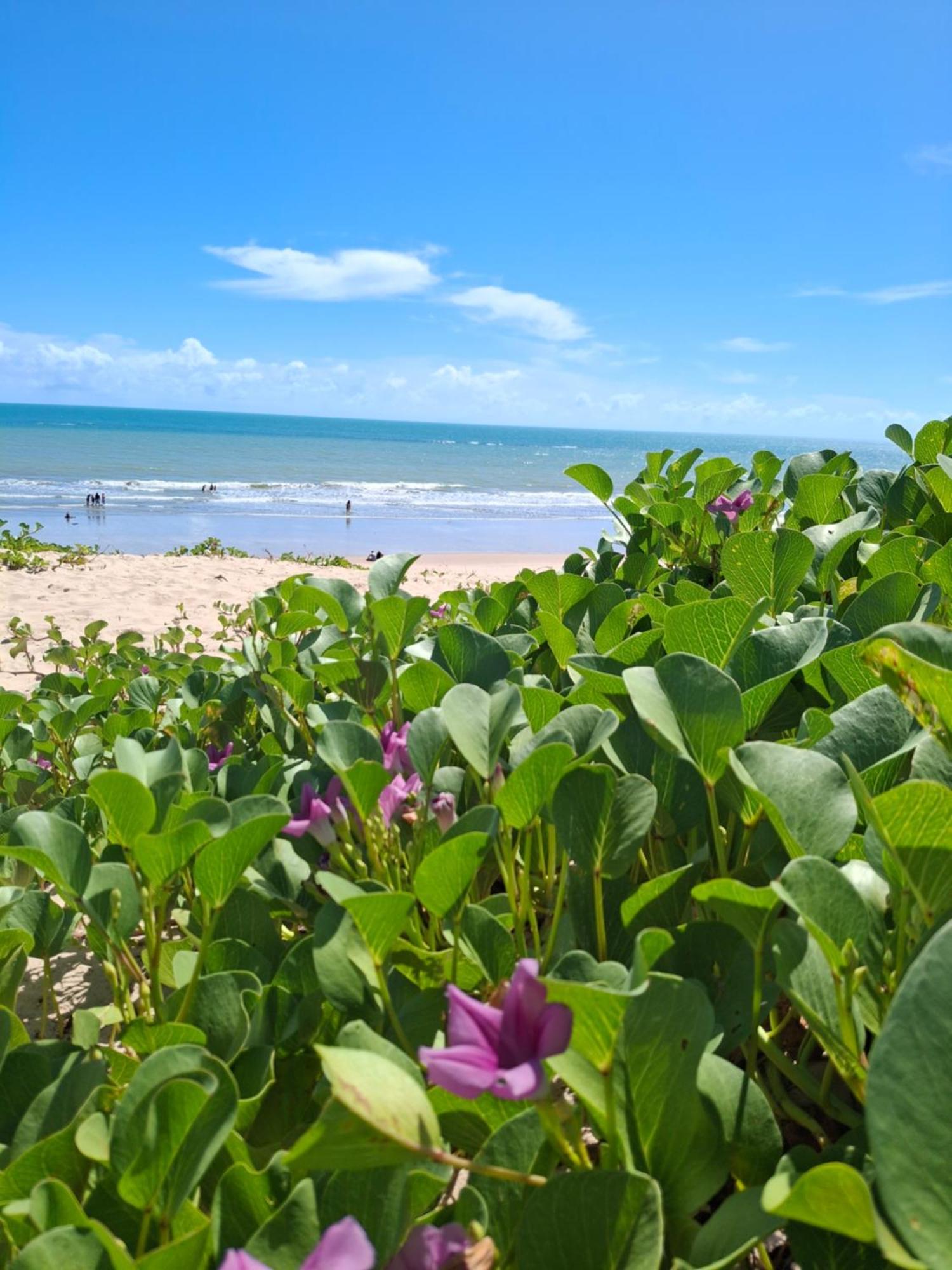 Manga Rosa Hospedagem Canoa Quebrada Buitenkant foto