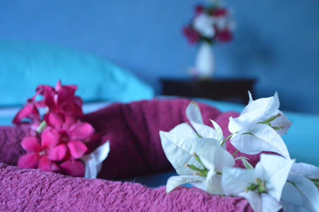 Manga Rosa Hospedagem Canoa Quebrada Kamer foto